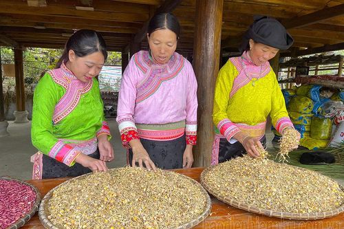 Dư vị tết bản