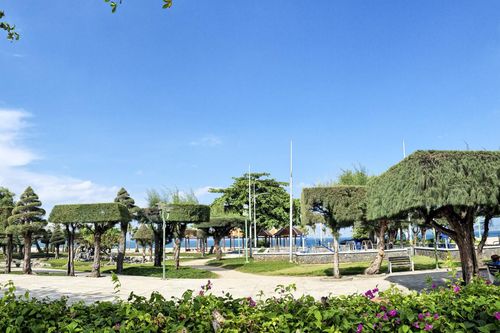 Mơ một Nha Trang xanh hơn