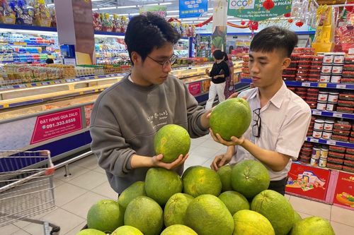 Những người truyền cảm hứng sản xuất nông nghiệp sạch