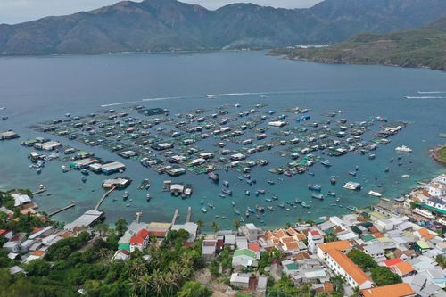 Phục hồi vịnh đẹp toàn cầu Nha Trang