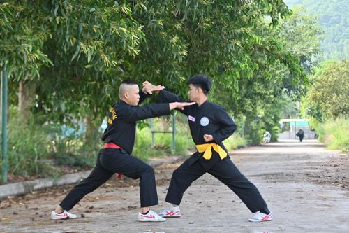 Xà quyền trong võ cổ truyền Việt Nam