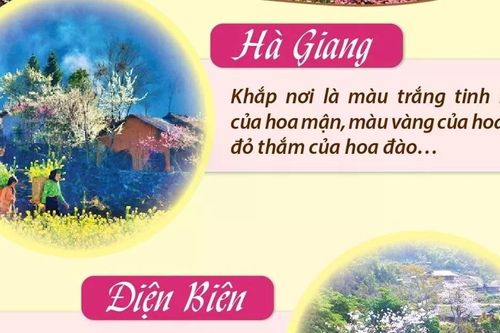 Những điểm đến hấp dẫn cho hành trình du xuân ngắm hoa nở