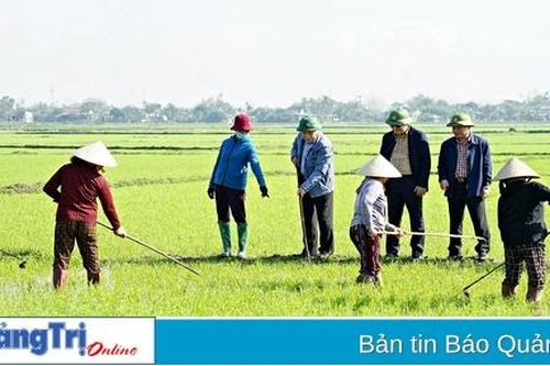 Quyền chủ tịch UBND tỉnh Hà Sỹ Đồng kiểm tra tình hình sản xuất nông nghiệp đầu Xuân Ất Tỵ 2025