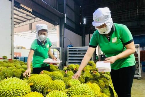 Xuất khẩu xanh - Động lực kiến tạo nền kinh tế hiện đại và bền vững