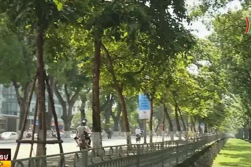 Hà Nội nỗ lực đưa màu xanh trở lại