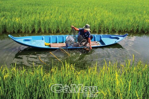Bắt nhịp nông nghiệp xanh