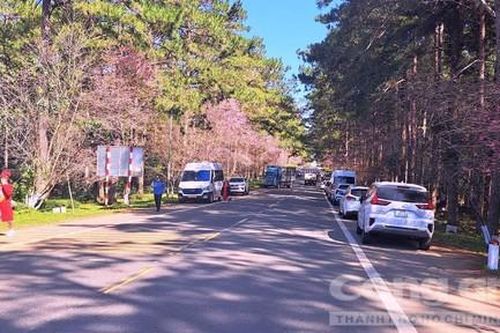 Măng Đen đón 200.000 khách du lịch dịp Tết Nguyên đán