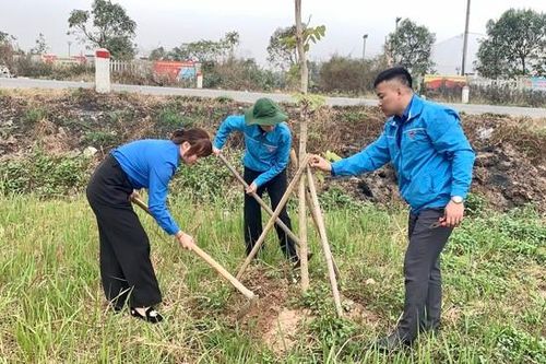 Đoàn viên thanh niên phát động Tết trồng cây, thi đua chào mừng Đại hội Đảng các cấp
