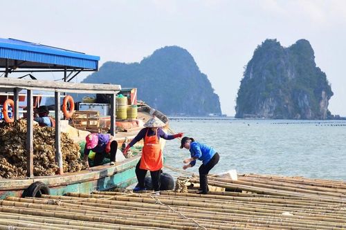 Trở lại 'vùng biển trắng'