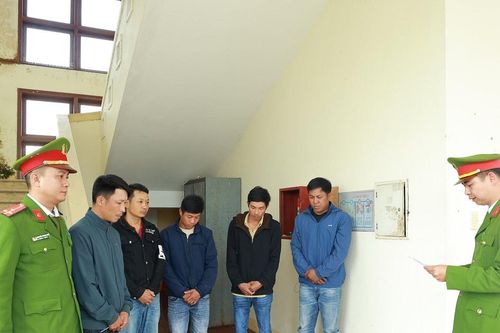 Vụ 6 con trâu bị giết thịt trong rừng: Tạm giữ 6 đối tượng
