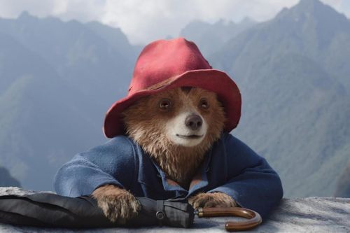 Chú gấu Paddington ra sao giữa cuộc đấu Trấn Thành - Thu Trang?