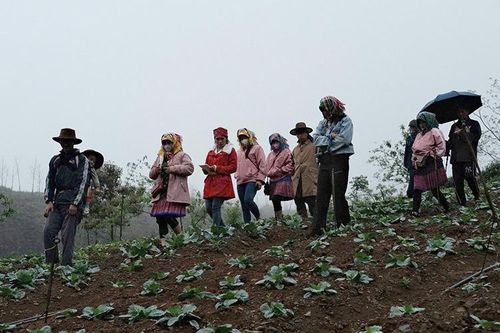 Ná nả: mùa gì mua nấy