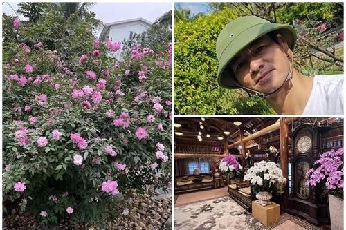 Có gì trong nhà vườn đẹp như resort của NSND Xuân Bắc?