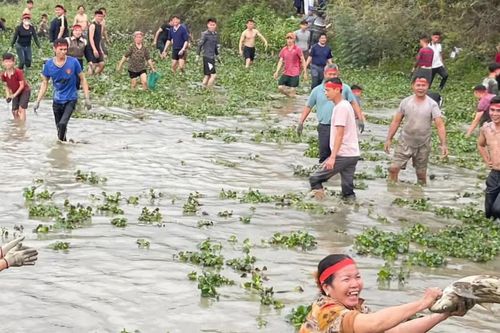 Người dân Vĩnh Phúc, Tuyên Quang lội bùn bắt cá, tìm vận may đầu năm