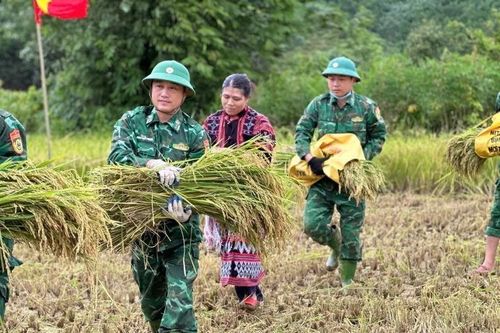 Chờ người trong ánh Xuân về