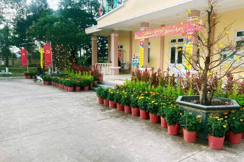 Sắc hoa Xuân nở rộ nơi 'phên dậu' của Tổ quốc