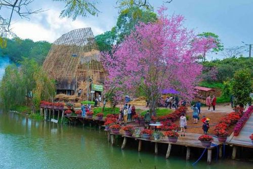 Khu du lịch Măng Đen 'vỡ trận' dịp Tết Nguyên đán Ất Tỵ 2025