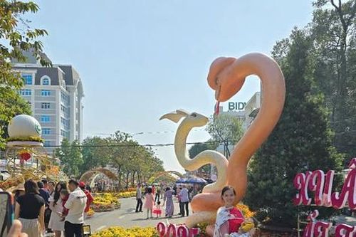 Mùng 5 Tết, dòng người vẫn đổ về đường hoa Cần Thơ