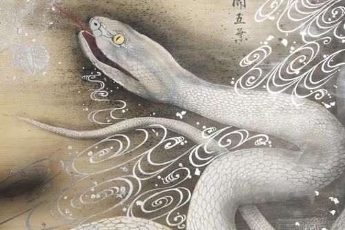 Những truyền thuyết nổi tiếng về loài rắn trong văn hóa Nhật Bản
