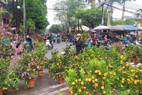 Từ các làng hoa ra đến chợ Tết