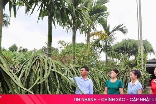 Xuân về 'thăm' các khu dân cư kiểu mẫu ở Hà Tĩnh