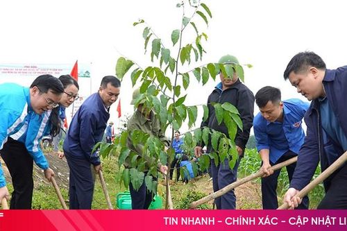 Tuổi trẻ Hương Khê ra quân trồng cây đầu xuân
