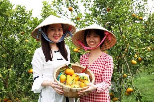 Nông dân chuyên nghiệp từ sản xuất đến làm du lịch