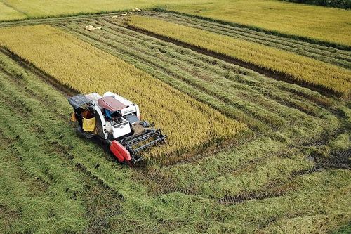 Phú Tân đồng hành phát triển cùng doanh nghiệp