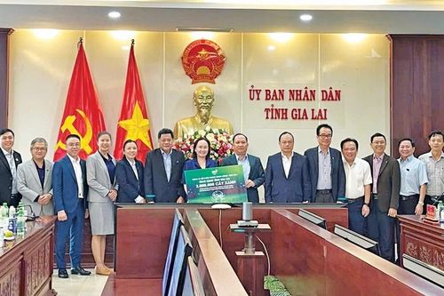 Sắc xuân trên vùng nguyên liệu mía Đông Nam Gia Lai