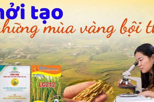 Khởi tạo những mùa vàng bội thu