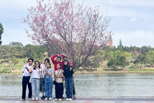 Lượng khách đến Đà Lạt dịp Tết Nguyên đán 2025 giảm
