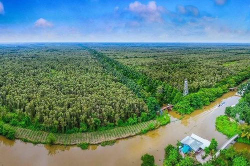Việt Nam có 11,85 triệu ha đất ngập nước