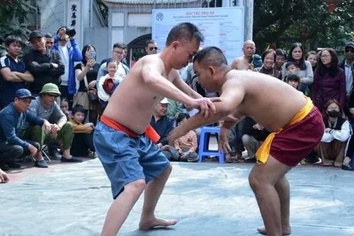 Tranh tài, đọ sức tại Lễ hội vật truyền thống Mai Động