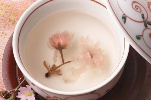 Công dụng chữa bệnh của 4 loài hoa mùa Xuân