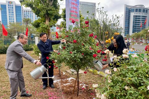 Quận Cầu Giấy phát động Tết trồng cây với kỳ vọng vươn mình trong kỷ nguyên mới của dân tộc