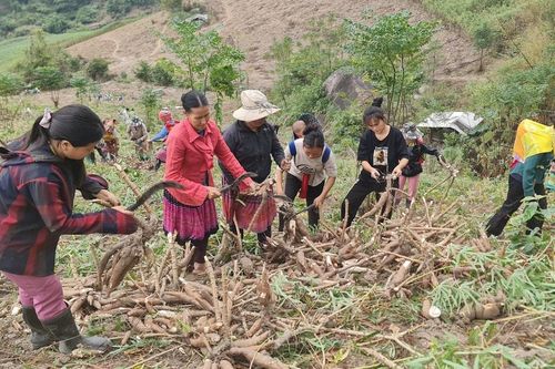 Xuân ấm miền biên viễn
