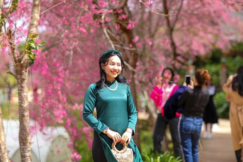 Khách đến Đà Lạt tăng 'vùn vụt' mùa du lịch Tết