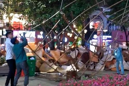 Hàng trăm công nhân xuyên đêm dọn đường hoa Nguyễn Huệ