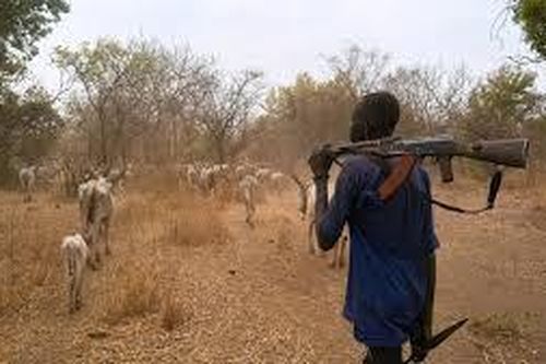 Nam Sudan: Tấn công trại gia súc khiến ít nhất 35 người thiệt mạng