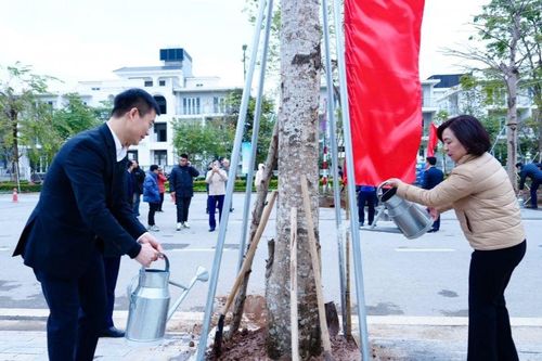Tết trồng cây Xuân Ất Tỵ 2025 hướng tới một đô thị hiện đại, xanh và bền vững cứ