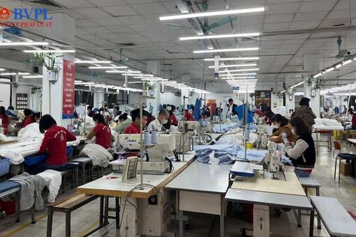 Nhiều doanh nghiệp Việt khai xuân, kỳ vọng một năm mới vươn mình