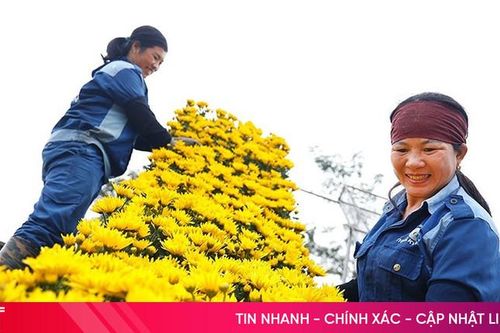 Bừng khí thế thi đua mừng xuân mới ở Hà Tĩnh