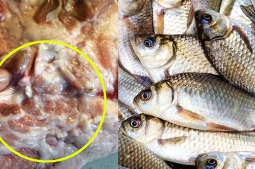 Vì sao có câu nói 'thịt lợn không mua thịt cổ, mua cá không mua cá diếc'?
