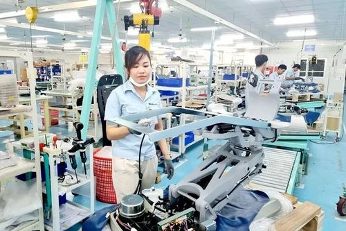 Sản xuất sớm, kỳ vọng xuất khẩu 'thuận buồm xuôi gió'