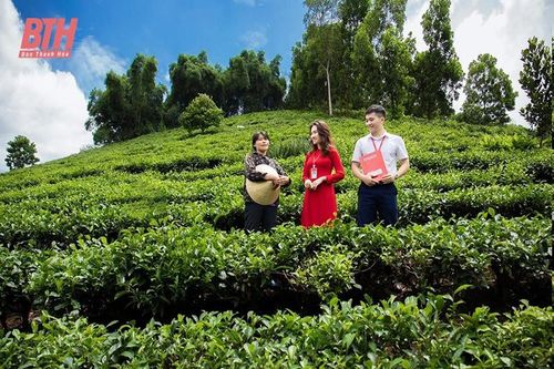 Những 'cánh chim' không mỏi kiến thiết mùa xuân mới ấm no
