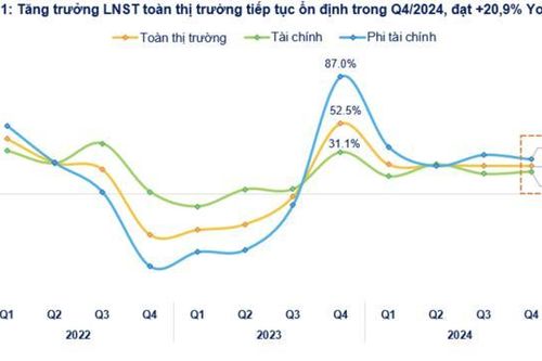 Cập nhật lợi nhuận quý 4/2024: Toàn thị trường tăng 20,9%, Bất động sản bứt phá