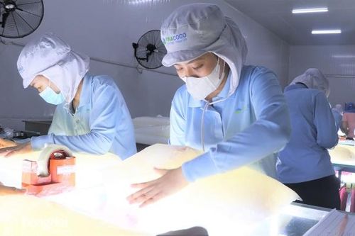 Doanh nghiệp trở lại sản xuất sau Tết Nguyên đán 2025
