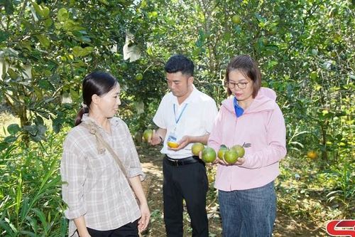 Giữ vững Đảng bộ hoàn thành xuất sắc nhiệm vụ