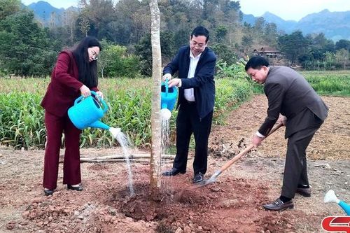 Yên Châu ra quân trồng cây đầu xuân