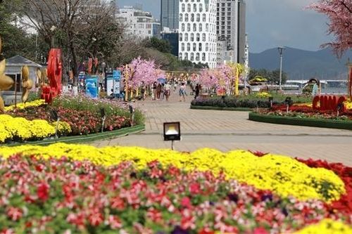 Bội thu khách tham quan, Đà Nẵng giữ đường hoa xuân đến tháng 5/2025